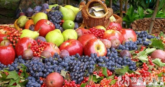 做微商卖水果怎么找货源的几个技巧分享
